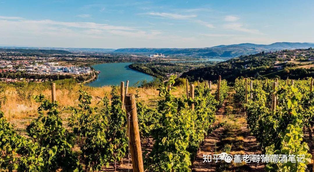 硬核知识北罗纳河谷葡萄酒产区详解法国罗纳河谷rhonevalley葡萄酒上