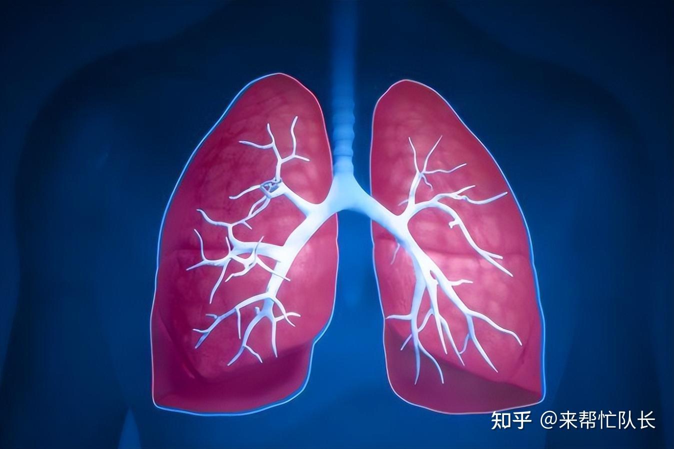 引起低氧血症的病因有哪些?血氧低怎么才能升上去?如何缓解? - 知乎