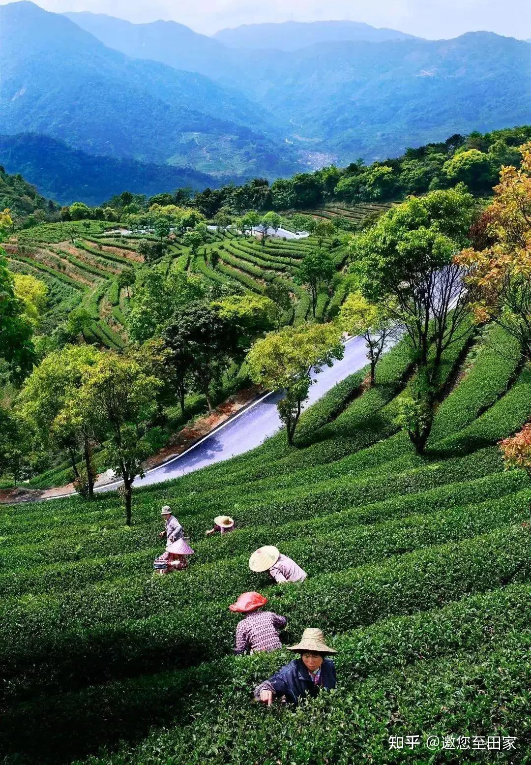 雲浮市新興縣太平鎮有豐富的紅色旅遊資源,趁時間正好,約上家人積三