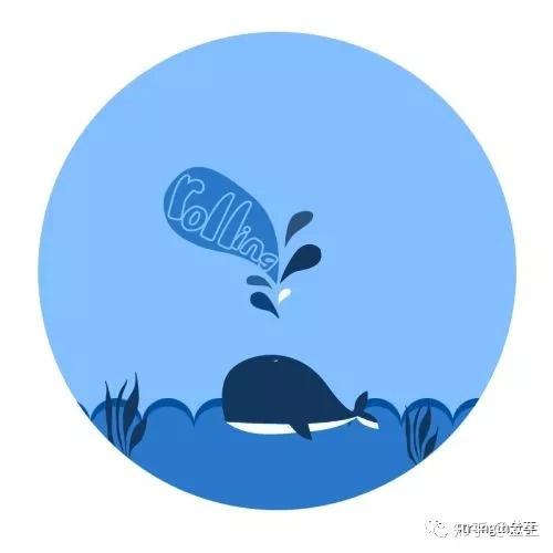 培训"  "我不了解你,我只是了解曾经的自己" 2 鲸是海洋中的巨型生物