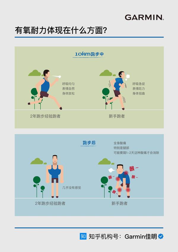 对耐力选手来说特别重要的有氧能力,到底指什么?