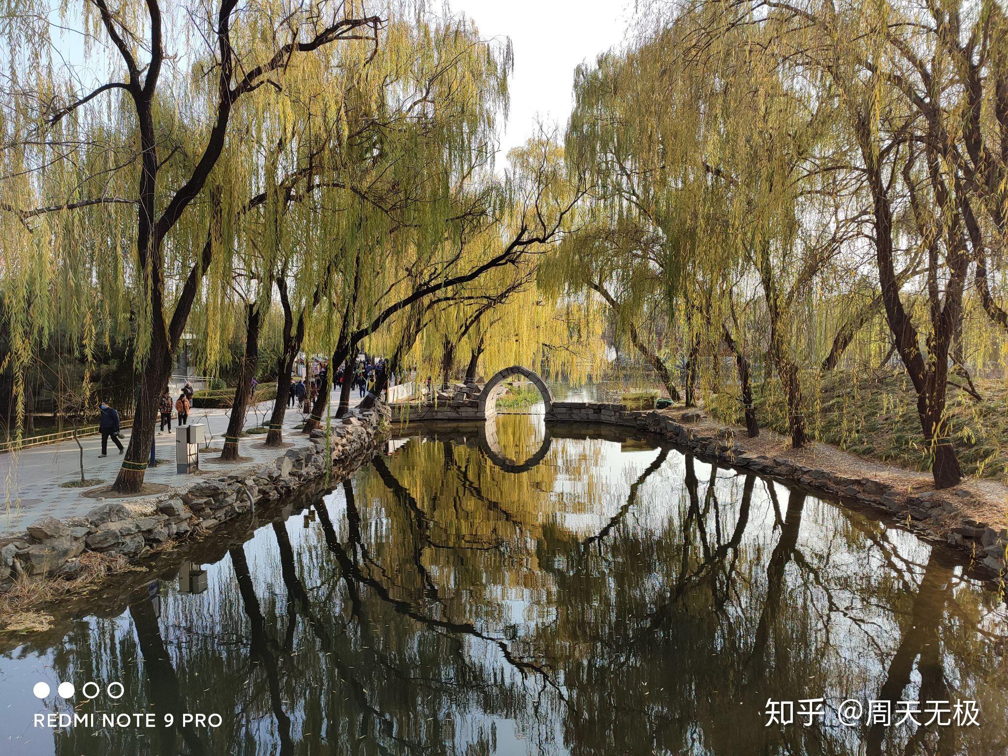 千元机的拍照已然今非昔比——redmi note9pro拍照部分简评