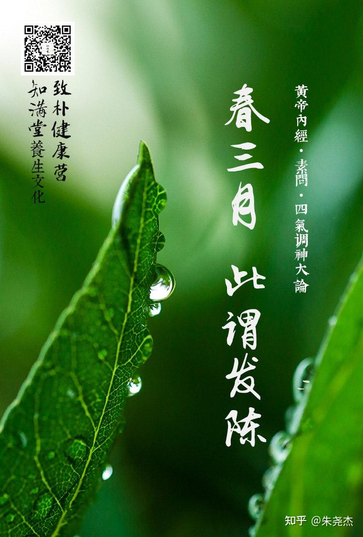 在春天,你的身体还有“生发”的力量吗? - 知乎
