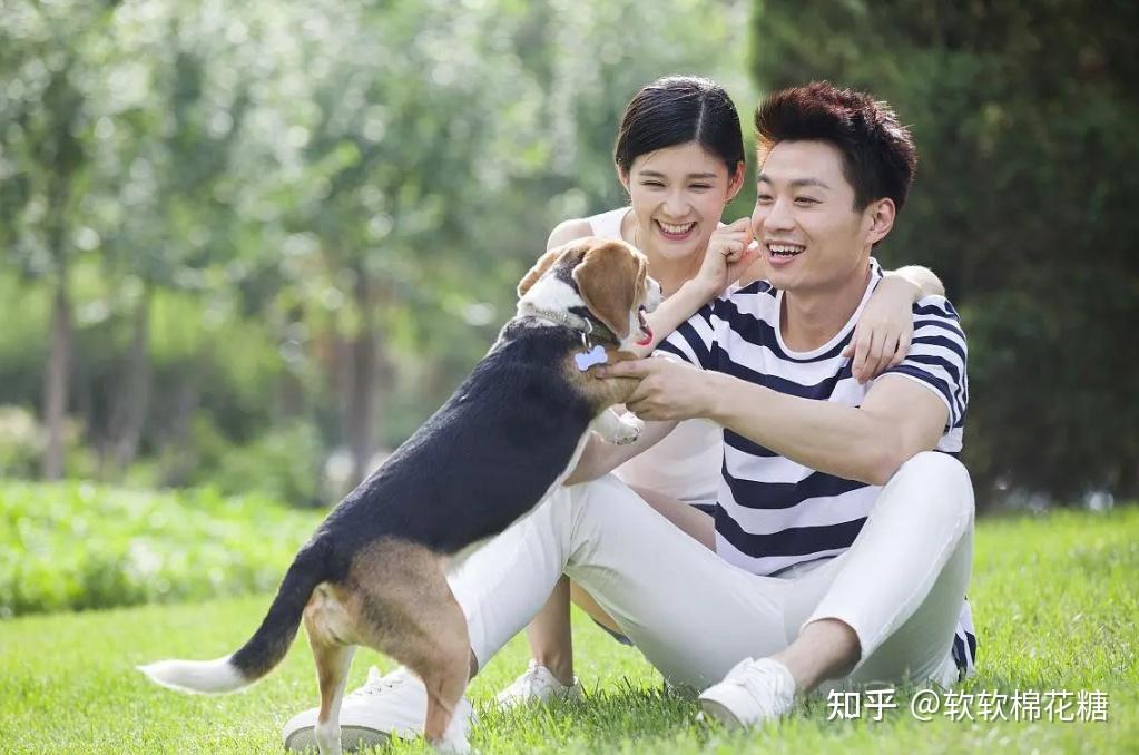 正确和错误的“抱狗”姿势,铲屎官们,赶快对号入座吧! - 知乎