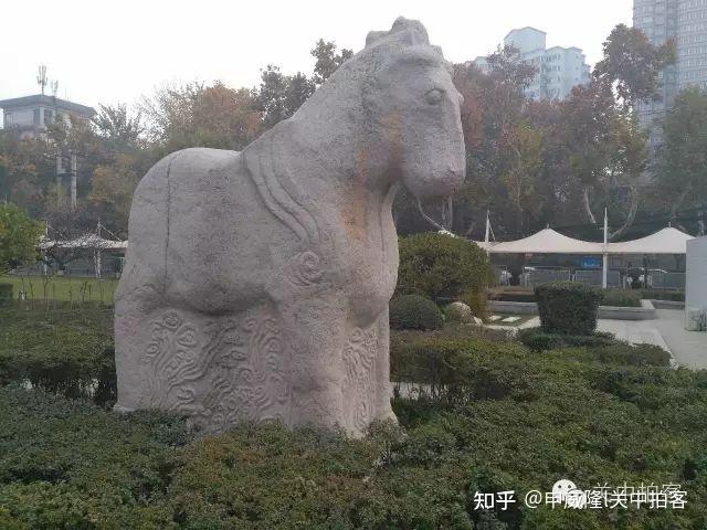 陕西历史博物馆:庭院内的“露天石刻”展区 - 知乎