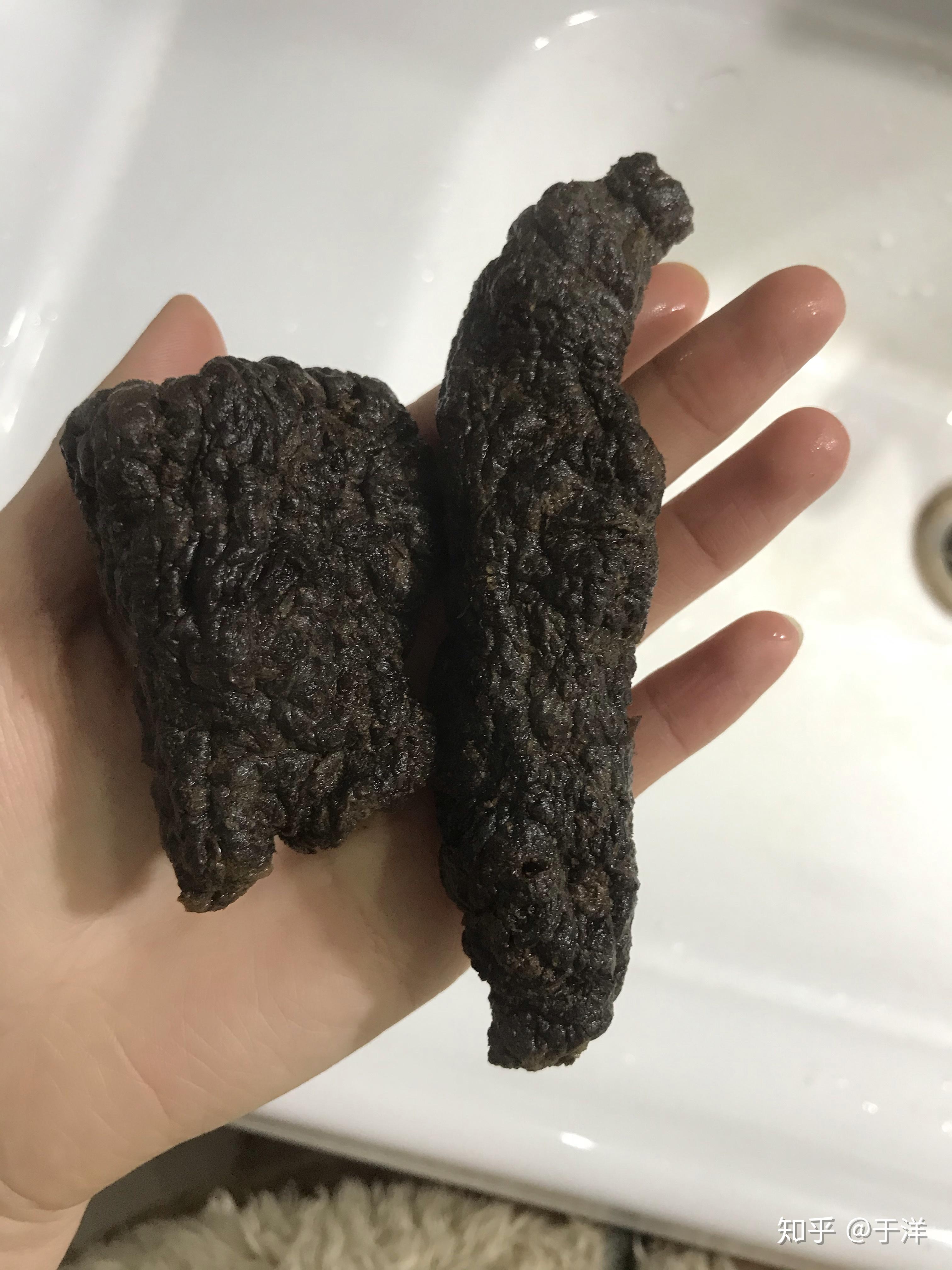 生地黄,熟地黄.六味地黄丸