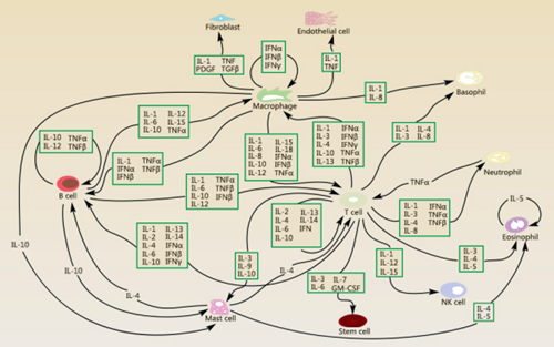 白细胞介素,你还不知道怎么选吗?
