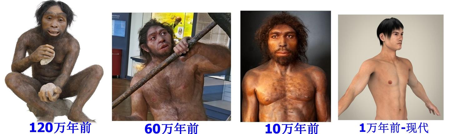 有的男人为什么会长胸毛 知乎 有的男人为什么会长胸毛 知乎