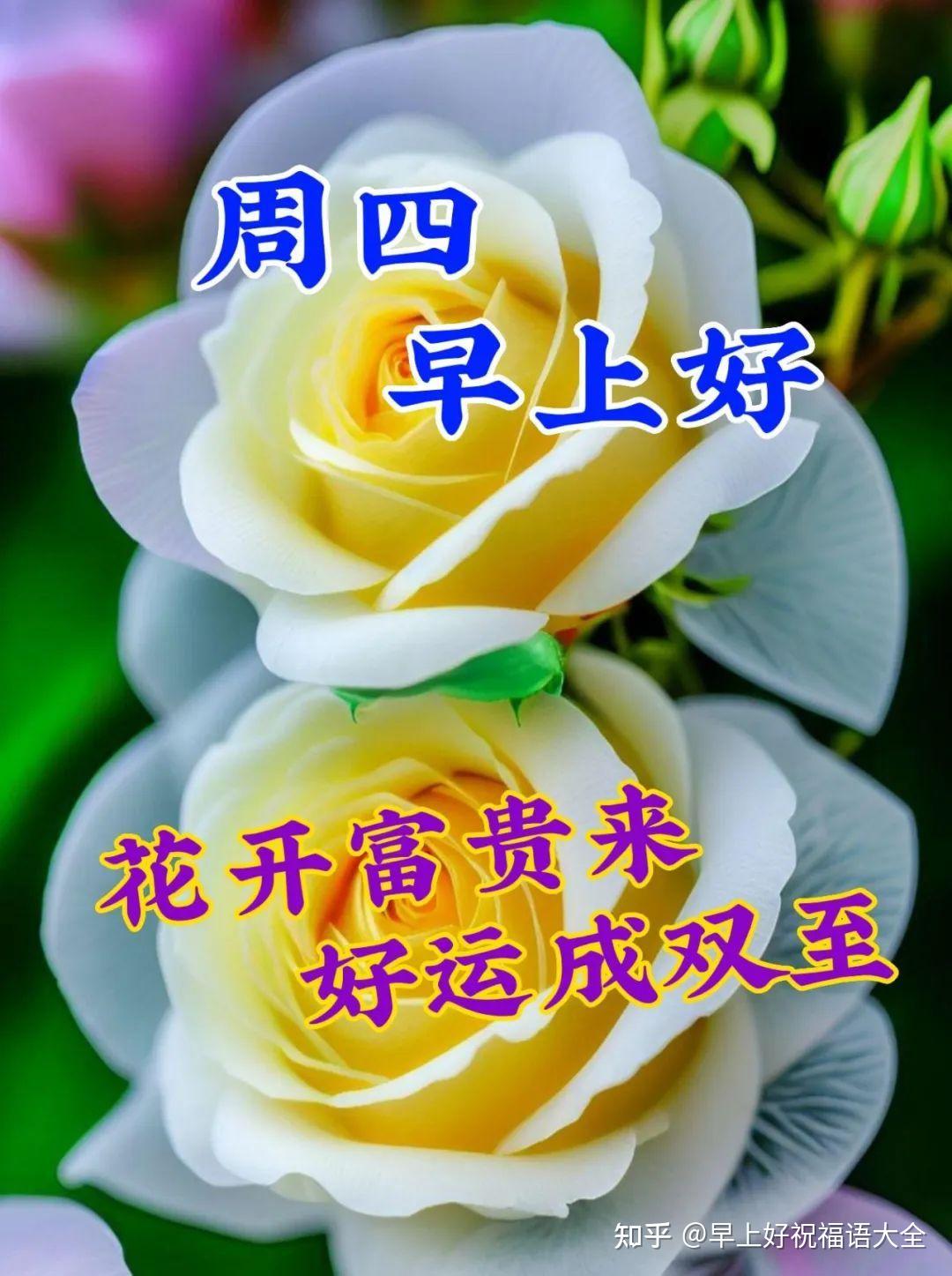 4月6日周四早上好温馨唯美漂亮祝福图片- 知乎