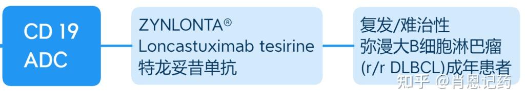 记住所有FDA生物药 | CD19 ADC | Loncastuximab Tesirine | 弥漫大B细胞淋巴瘤 - 知乎