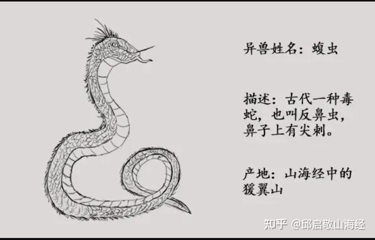 《山海经》中龙文化起源——蝮虫