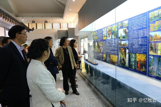 一个既有规模又有品质的千年古银杏图文展，全国首现｜古枰忆君 知乎