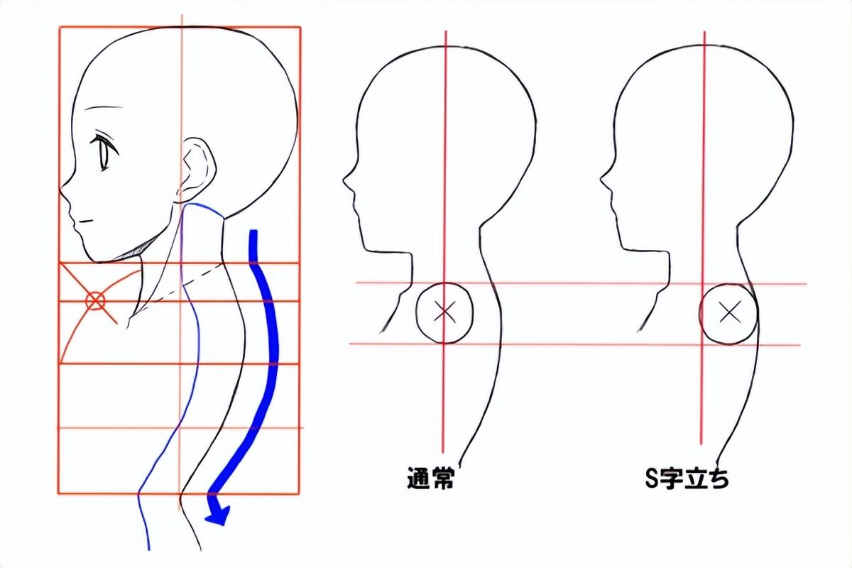 教你画肩膀手臂连接关系