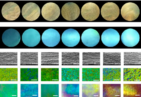 《acs nano》手性光子晶体膜的组装及其与小分子多信号的敏感响应