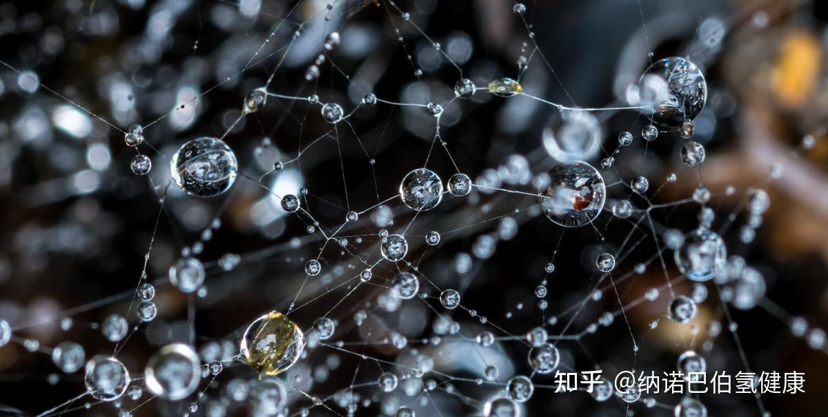 近些年,微纳米气泡的应用已迅速进入了水处理,农业,水产养殖,医学和