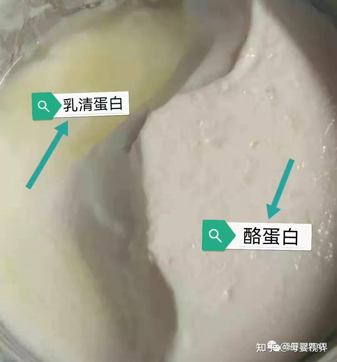 主要成分为酪蛋白和乳清蛋白酪蛋白:就像"酸奶"白色凝固的那一部分