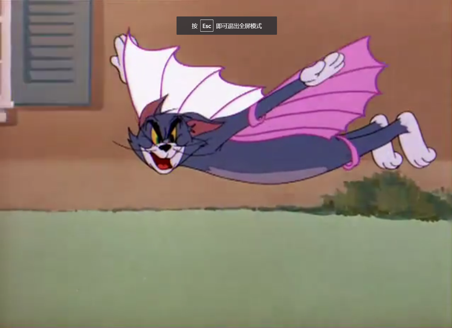 flying cat】中,著名的不仅仅是汤姆的王の自由落体阿鲁巴,还有汤姆穿