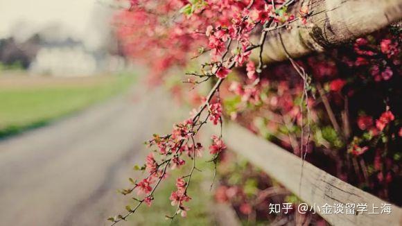 瀹的意思 v2-11aedafb59ef25d7072364aeae1aef6b_r.jpg