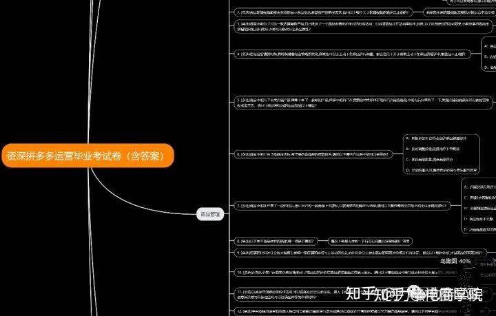 拼多多完整運營思路大中小賣家怎麼運營通讀此篇店鋪成功一半