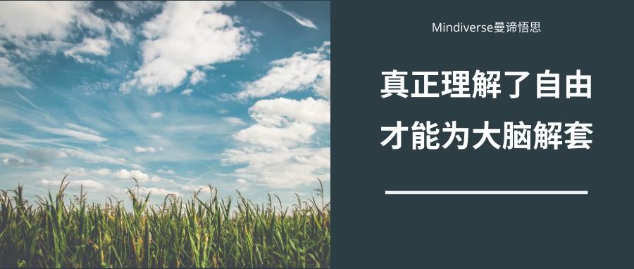 什么才是真正的自由 v2-11e3be2a84db93ebc1305066ff723f7e_1200x500.jpg