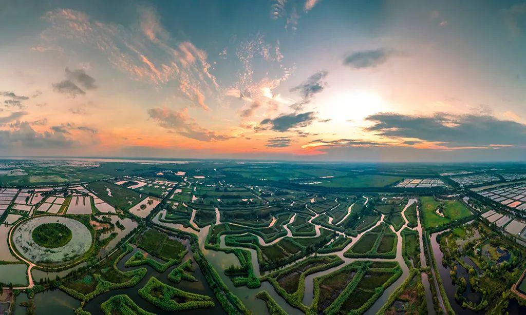 黄淮名酒带,都有谁? - 知乎