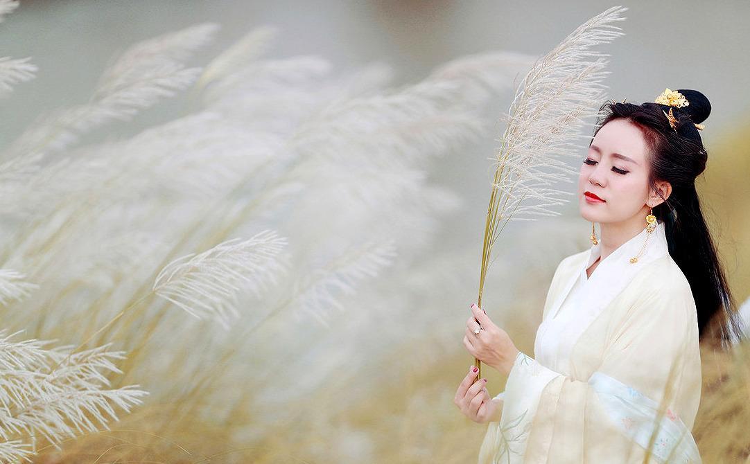 《诗经·蒹葭》:人生的一种向往,一份企慕,却不可得