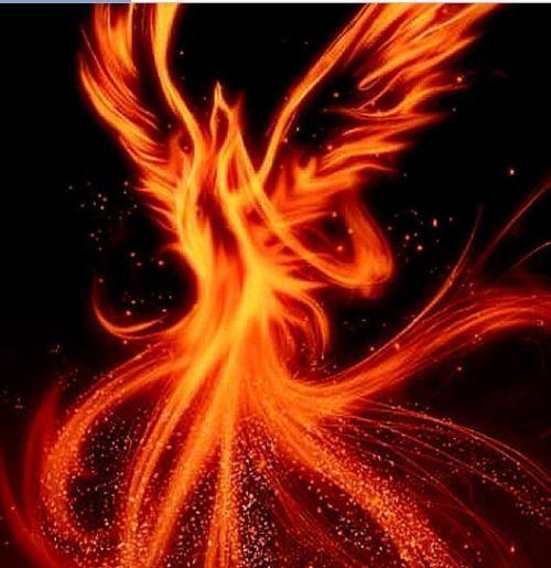 凤族世界炼气五千年