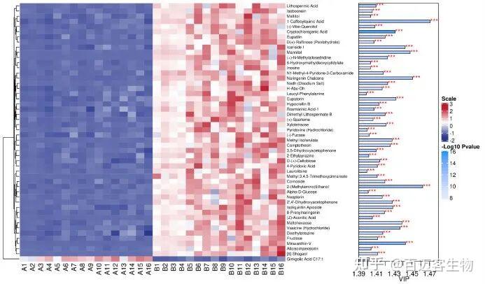科研人必看！广靶代谢组分析内容全面升级，助力科研更高效！ - 知乎