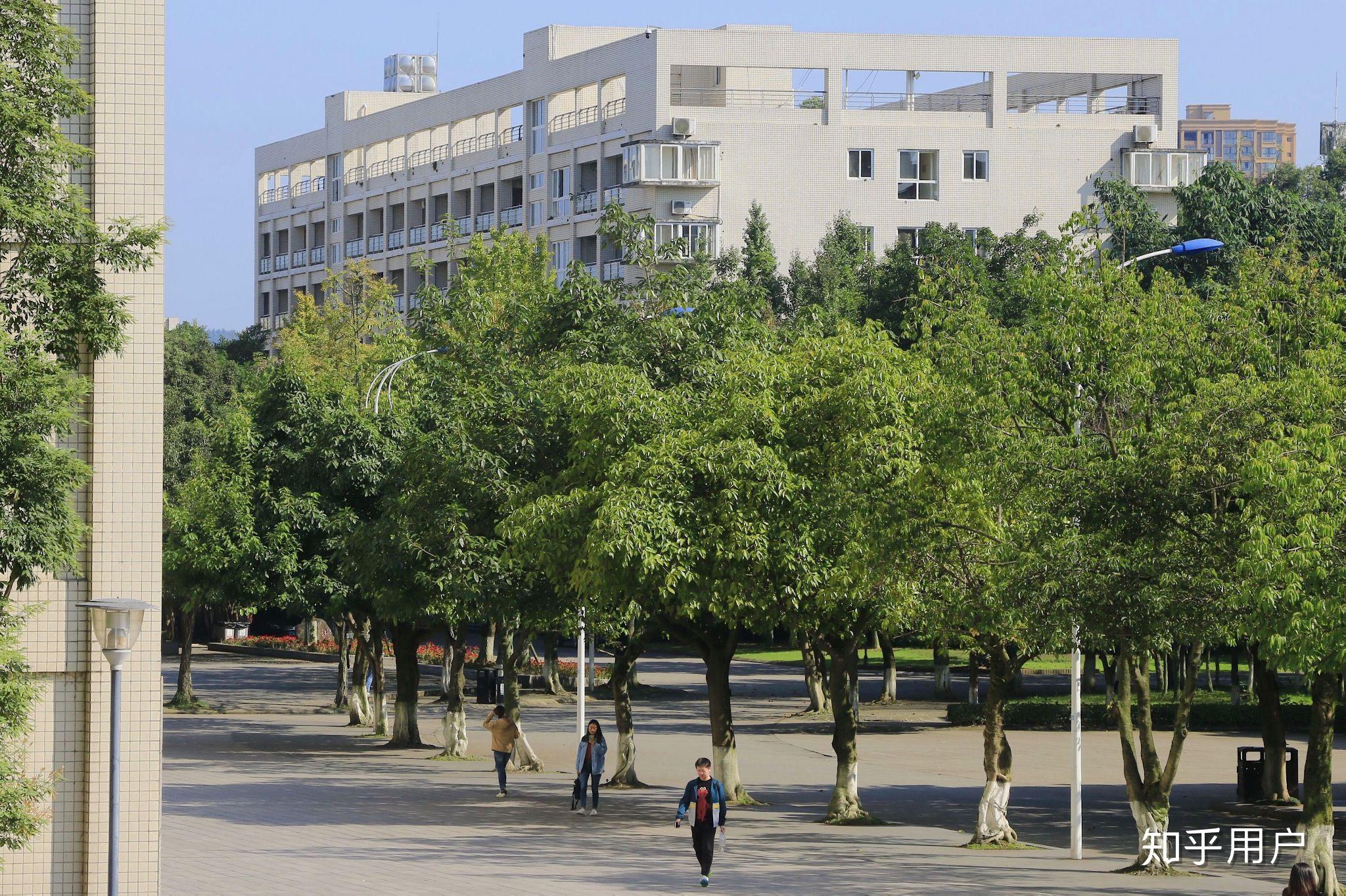 在四川大学锦江学院就读是种什么样的体验? 