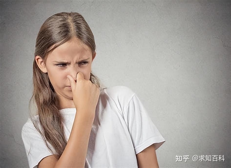 我们是怎么闻到气味的? - 知乎