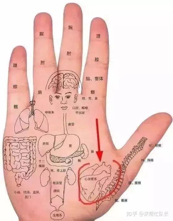 五臟病變,無非就是心肝脾肺腎上的疾病,一般來說,人的五臟六腑變化都