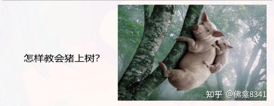 成年人只能筛选,不能教育 - 知乎