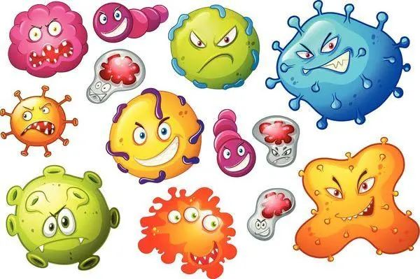 萃芙兰你脸上的细菌真的会让皮肤变差吗