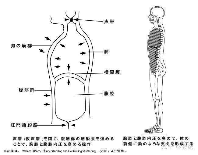 改良瓦氏动作原理图片