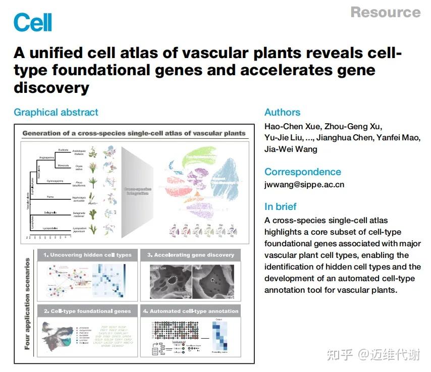 Cell | 中科院王佳伟团队绘制首个维管植物单细胞图谱 - 知乎