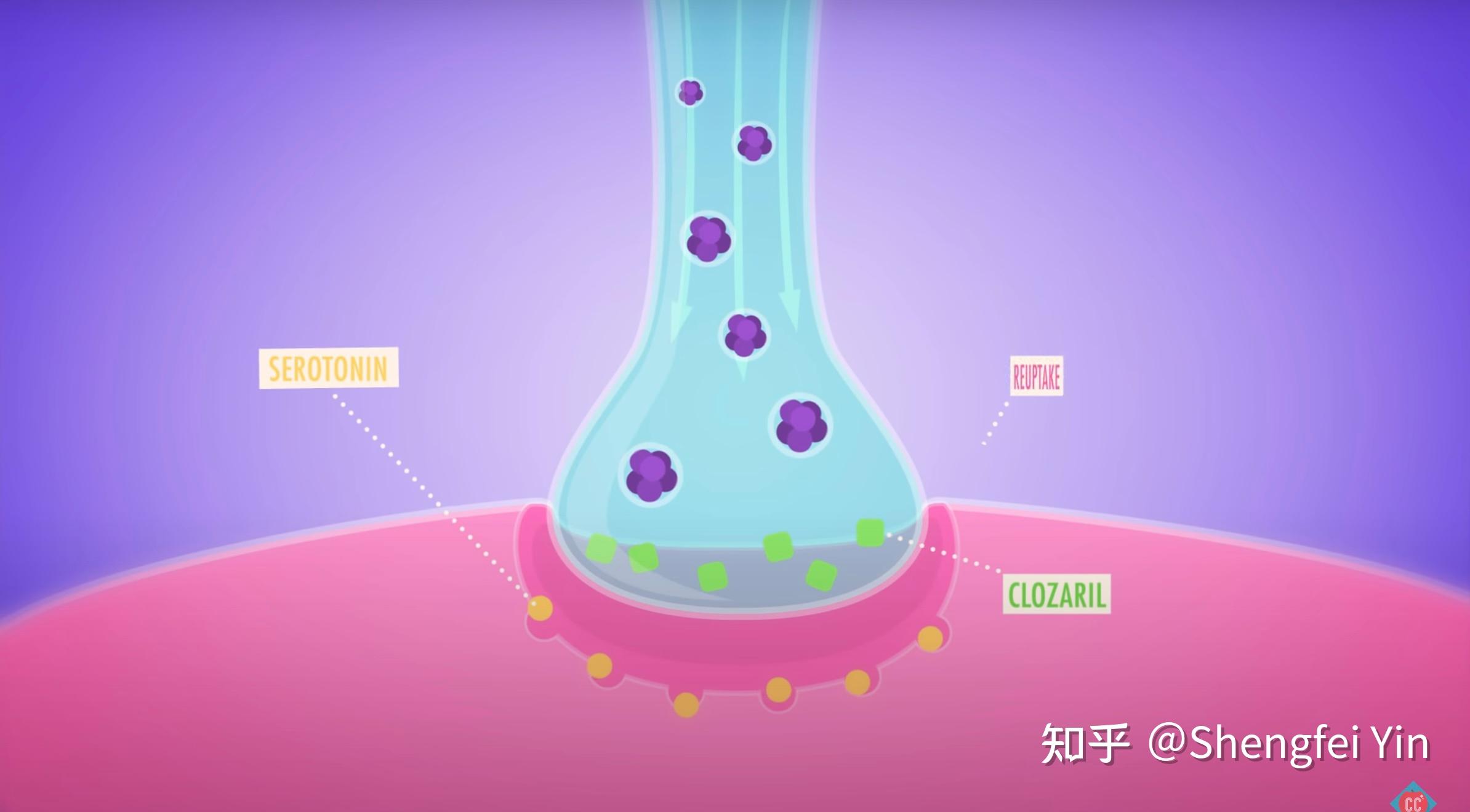 Biomedical Treatment Crash Course Psychology 36 知乎