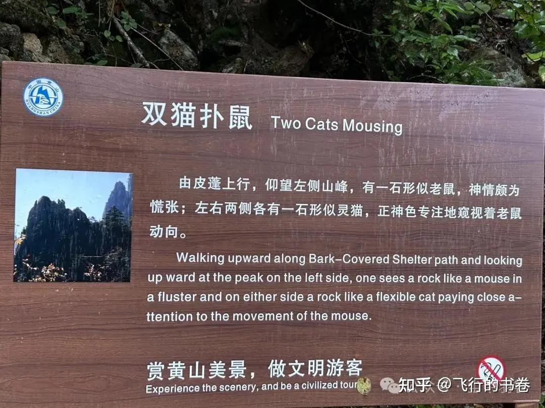 黄山雨中独行记(一):从云谷寺徒步到白鹅岭,一路有啥美景? - 知乎