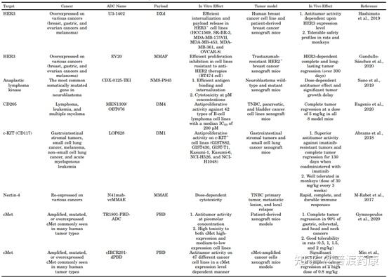 XDC药物最新研究进展 - 知乎