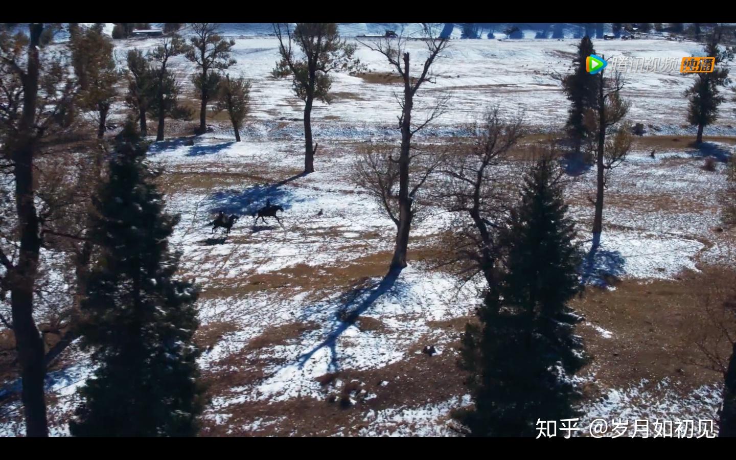 哪部电影中的景色让你产生了说走就走的冲动