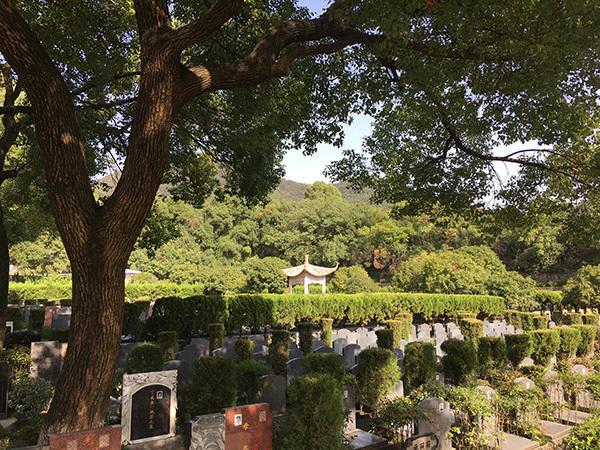 北碚龙居寺塔陵园图片