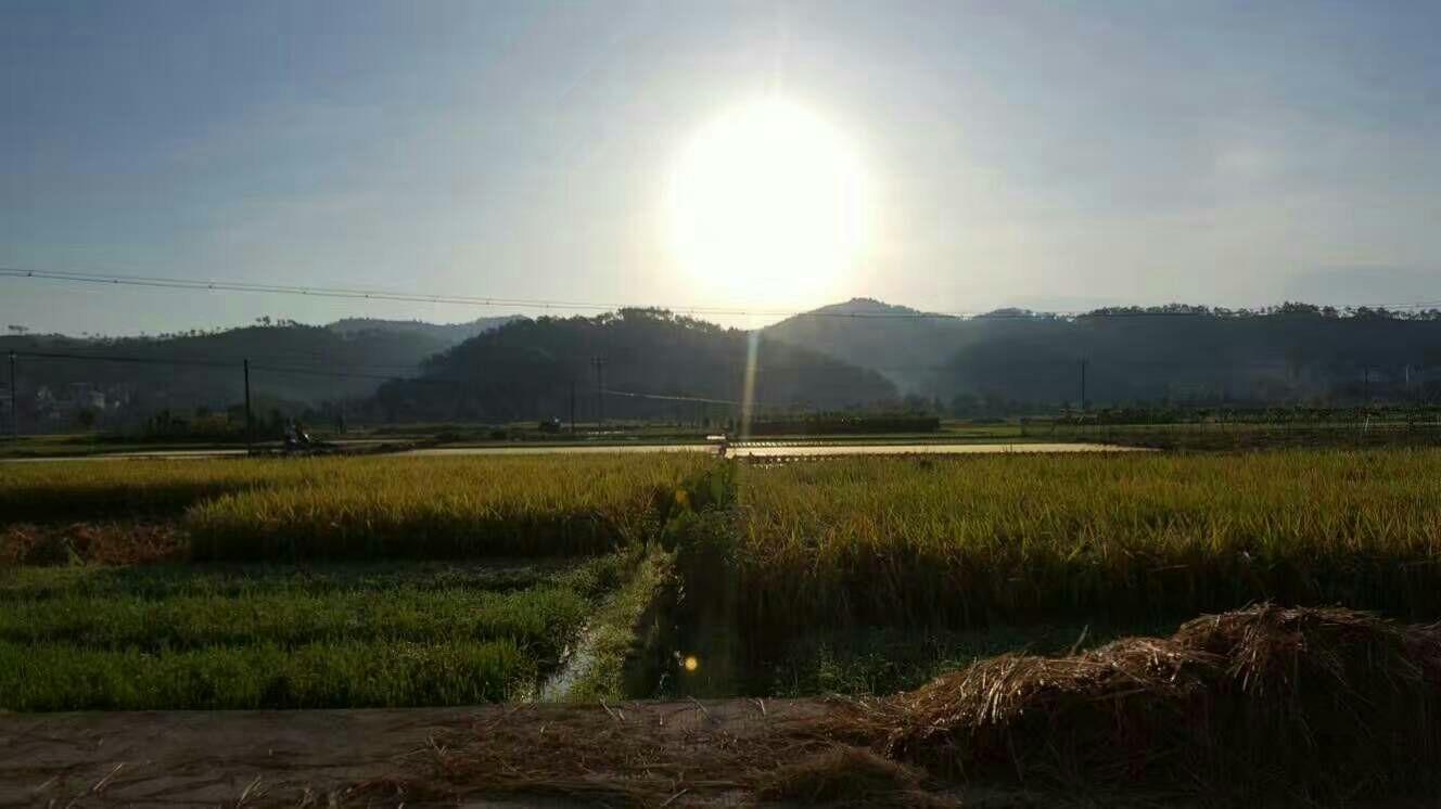 每天慢跑五公里对身体有什么好处? - Lillian 的