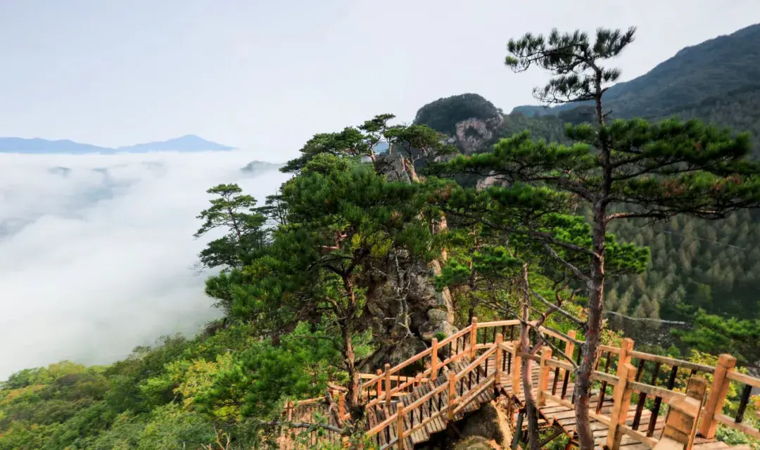 春游花海走林间,夏挽清风,秋赏枫姿疑画境——本溪老边沟风景区