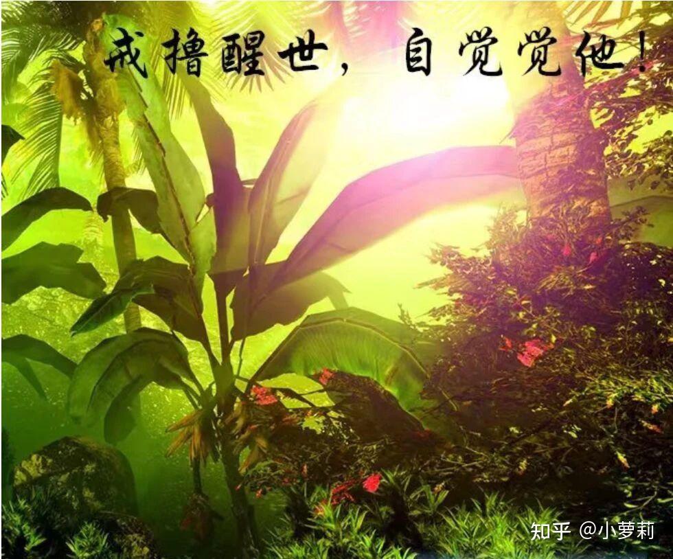 10种常见戒断反应之分析 (附破解方法) - 知乎