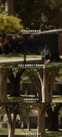 图标