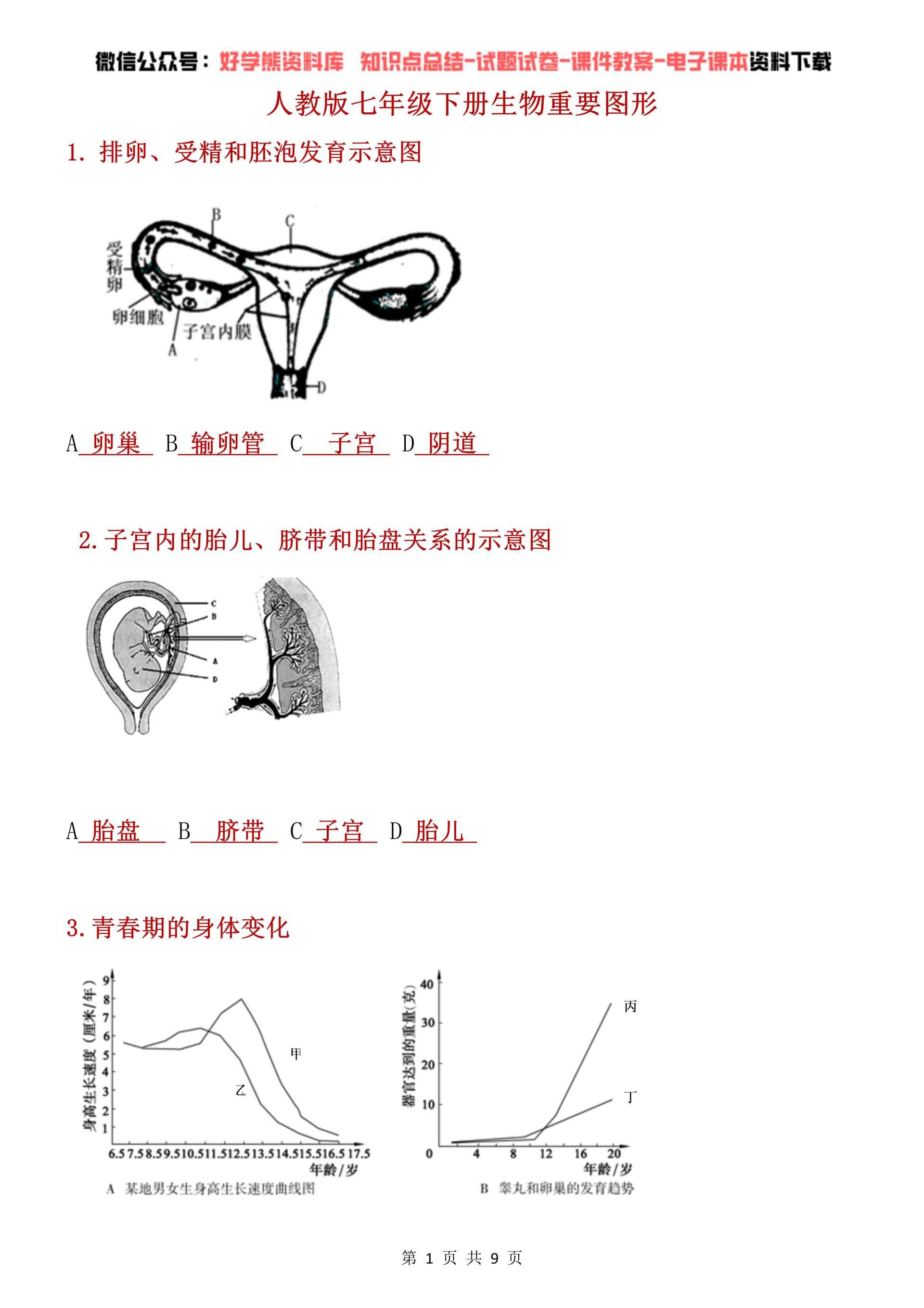 【初中生物】人教版初一七年级下册生物重要图形 - 知乎
