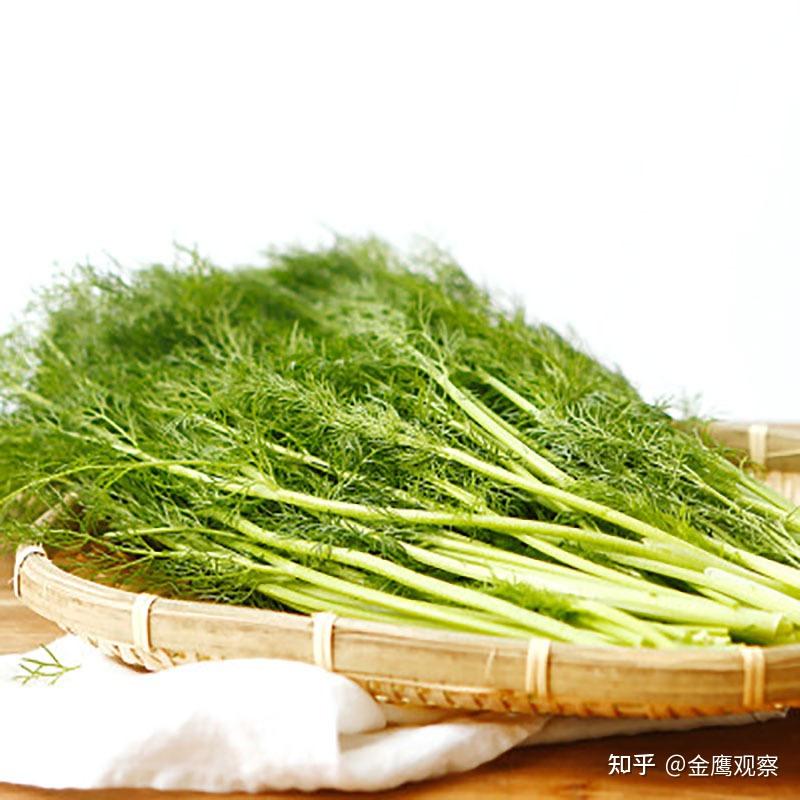 春季补肾壮阳菜推荐她一定会喜欢