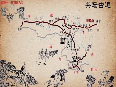 你不知道的茶马古道