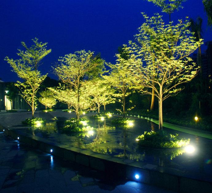 城市植物的夜间生态平衡与景观照明的关系 - 知乎