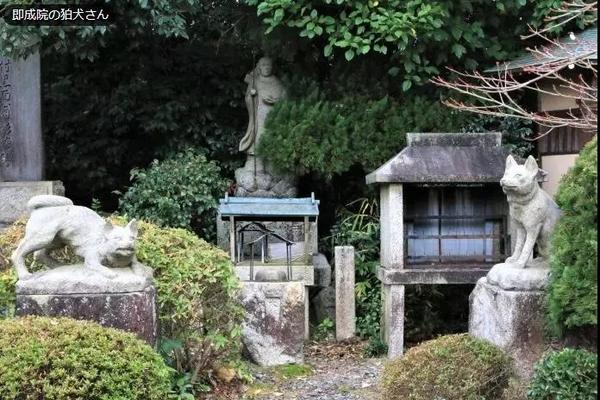 在京都 狗年就去这几间神社 知乎