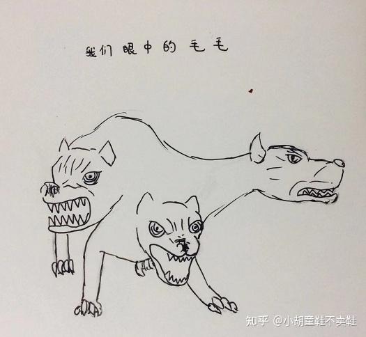 论海格眼里的神奇动物